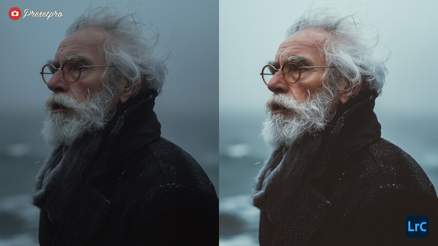 Free Lightroom Preset Moody Film Before After Presetpro.com