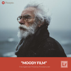 Free Lightroom Preset Moody Film by Presetpro.com