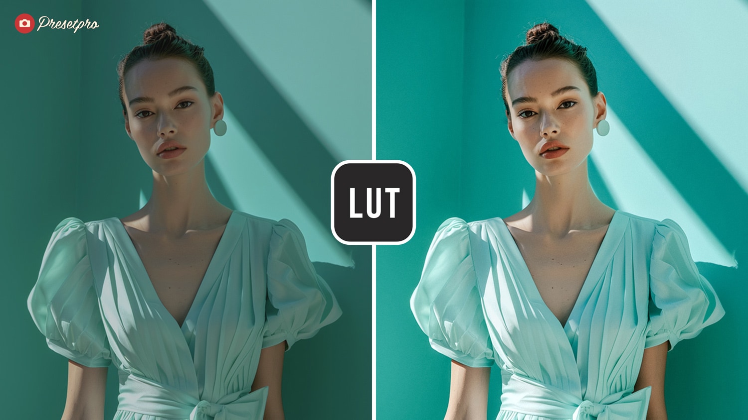 Free LUT Fashion Film Lookup Table Presetpro.com