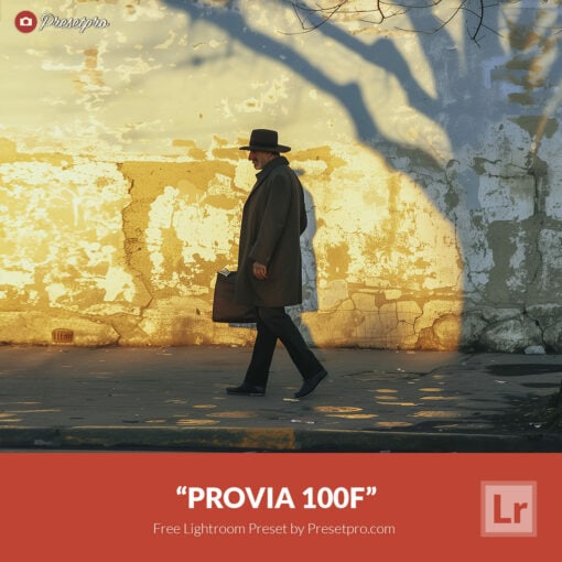 Free Lightroom Preset Fuji Provia 100F by Presetpro.com Cover