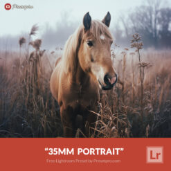 Free Lightroom Preset 35mm Portrait by Presetpro