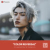 Free Lightroom Preset Color Reversal by Presetpro.com