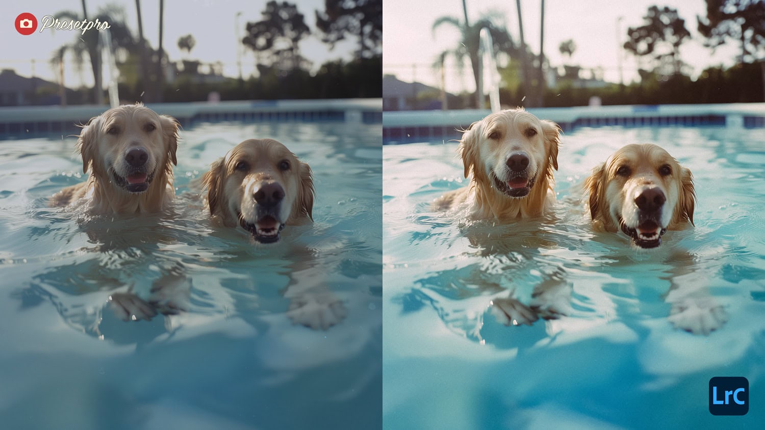 Free Lightroom Preset Film Simulation Before After Presetpro.com