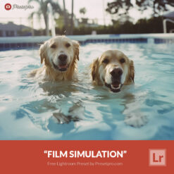 Free Lightroom Preset Film Simulation by Presetpro