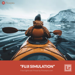 Free Lightroom Preset Fuji Simulation by Presetpro.com