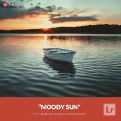 Free Lightroom Preset Moody Sun by Presetpro.com