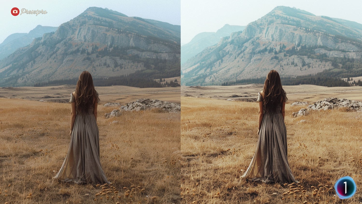 Free Capture One Style Retro Filter Before and After Presetpro.com