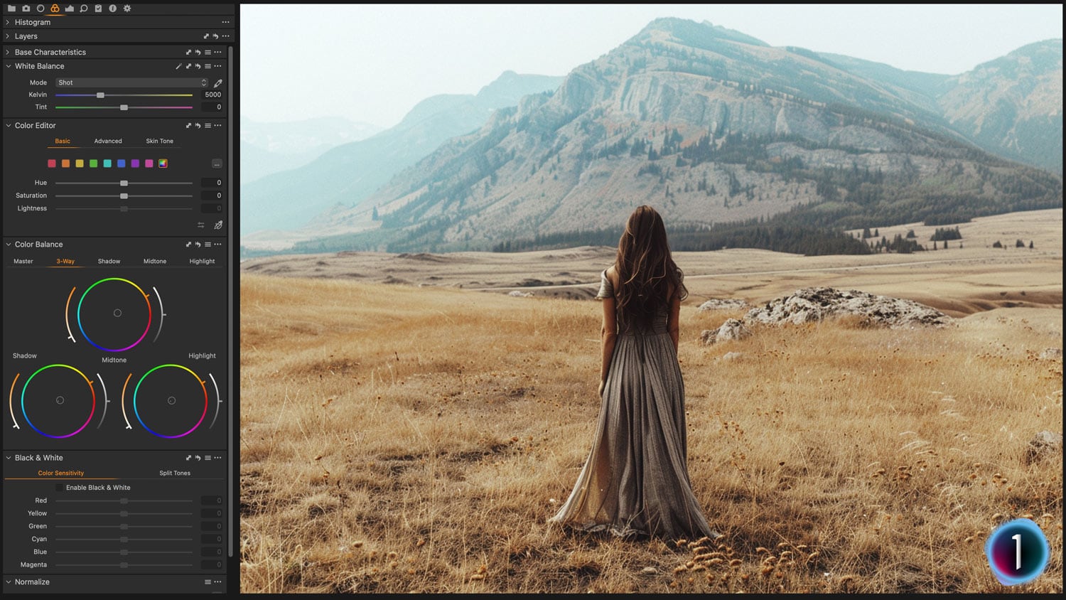 Free Capture One Style Retro Filter Before and After Presetpro.com