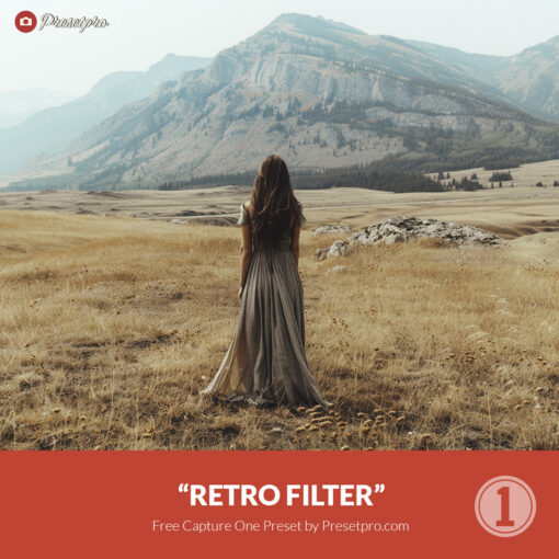 Free Capture One Style Retro Filter Presetpro.com