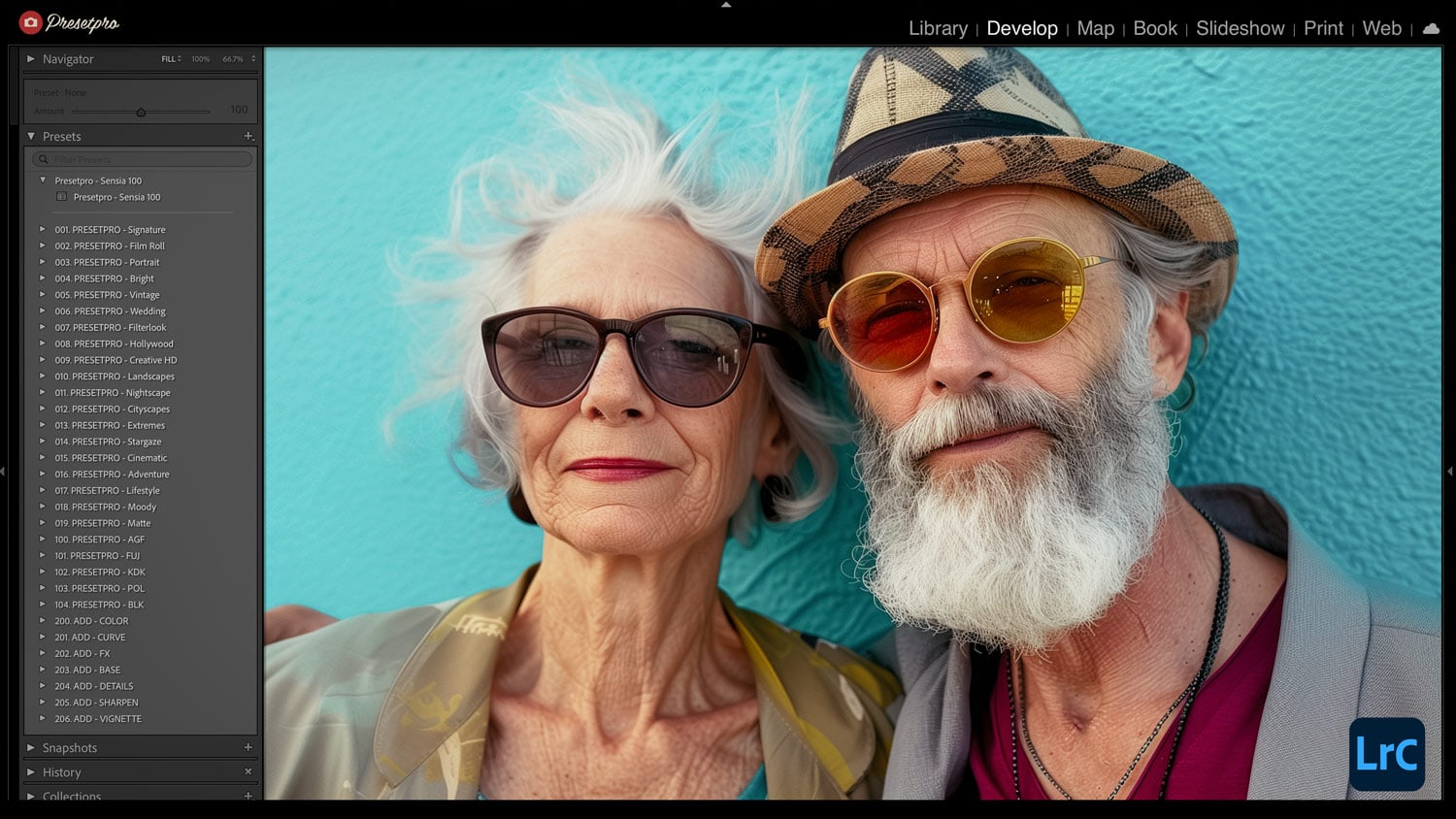 Free Lightroom Preset Sensia 100 Before After Presetpro.com