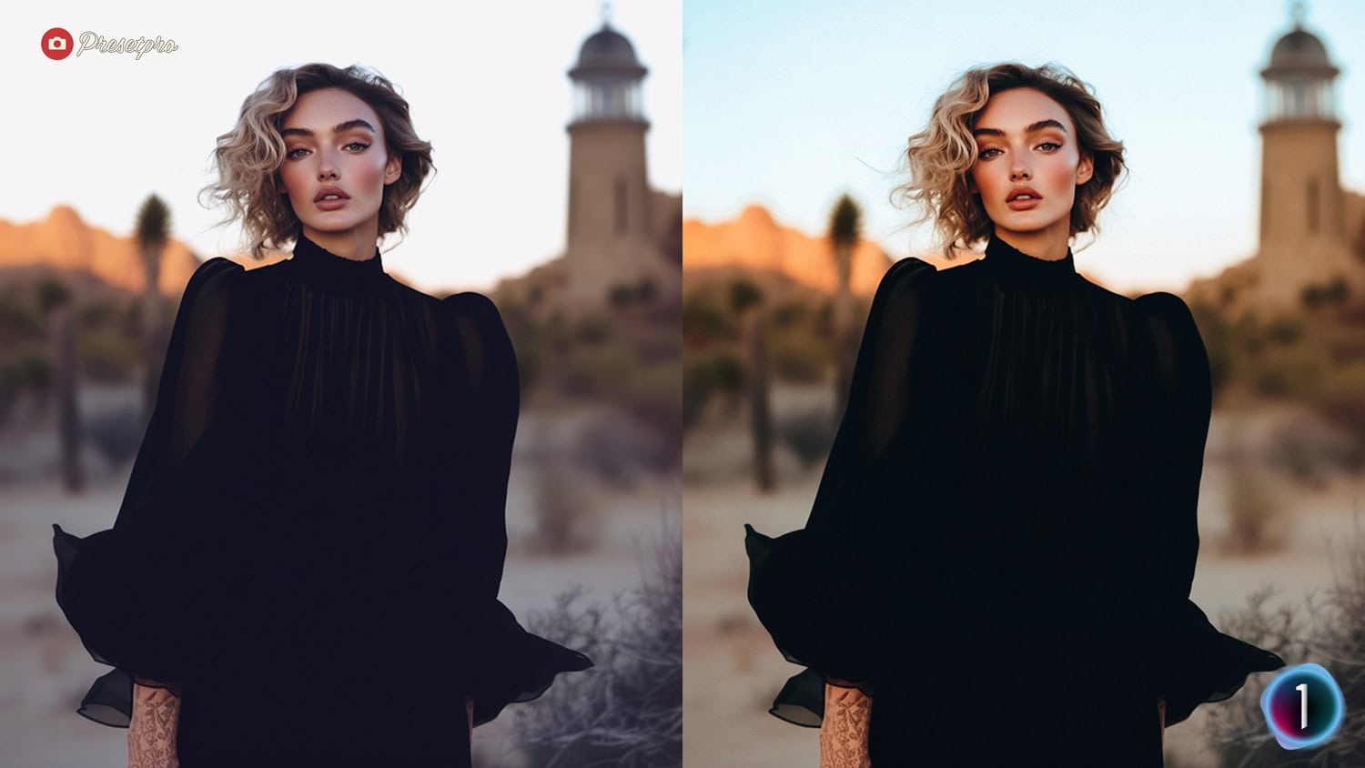 Free Capture One Style Chroma Grade Before and After Presetpro.com