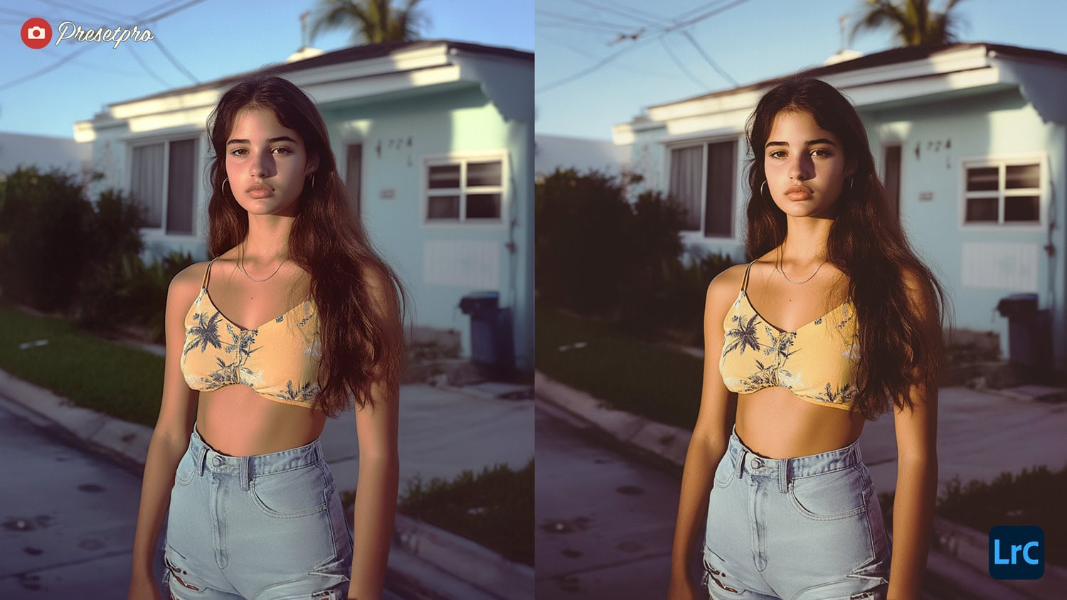 Free Lightroom Preset Instant Color Before After Presetpro.com
