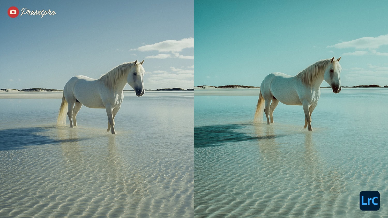 Free Lightroom Preset Movie Still Before After Presetpro.com