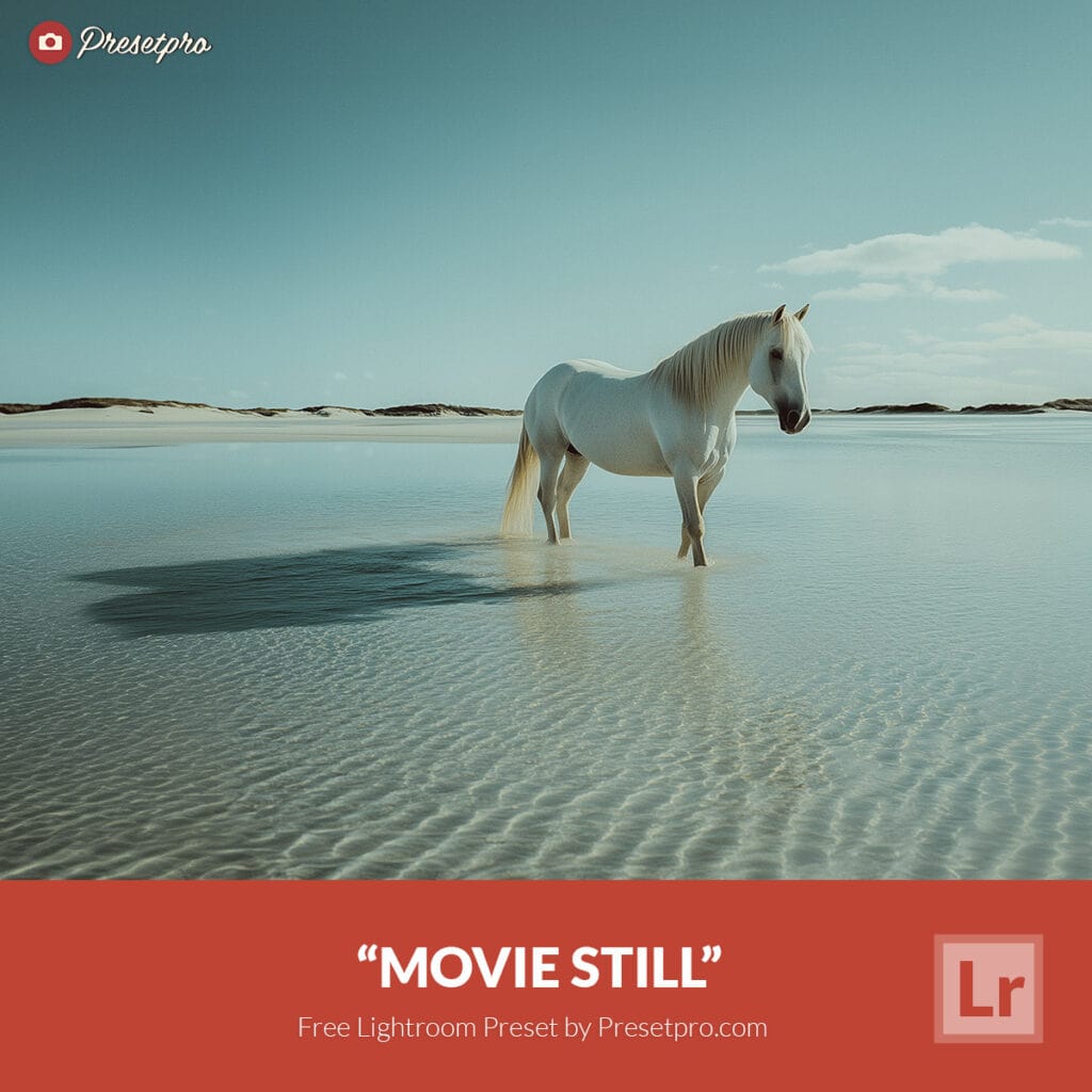 Free Lightroom Preset Movie Still by Presetpro