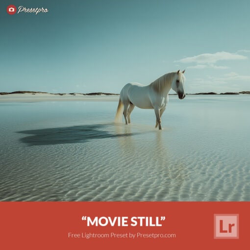 Free Lightroom Preset Movie Still by Presetpro