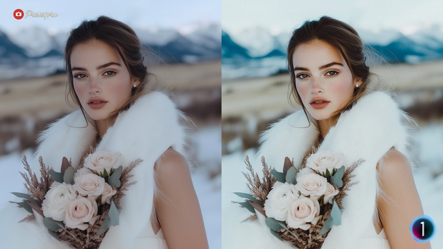 Free Capture One Style Portra Wedding Before and After Presetpro