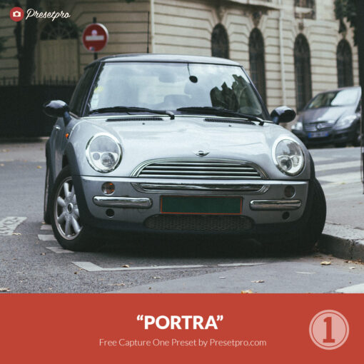 Free Capture One Style Portra Presetpro.com