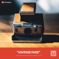 Free Lightroom Preset Vintage Fade by Presetpro