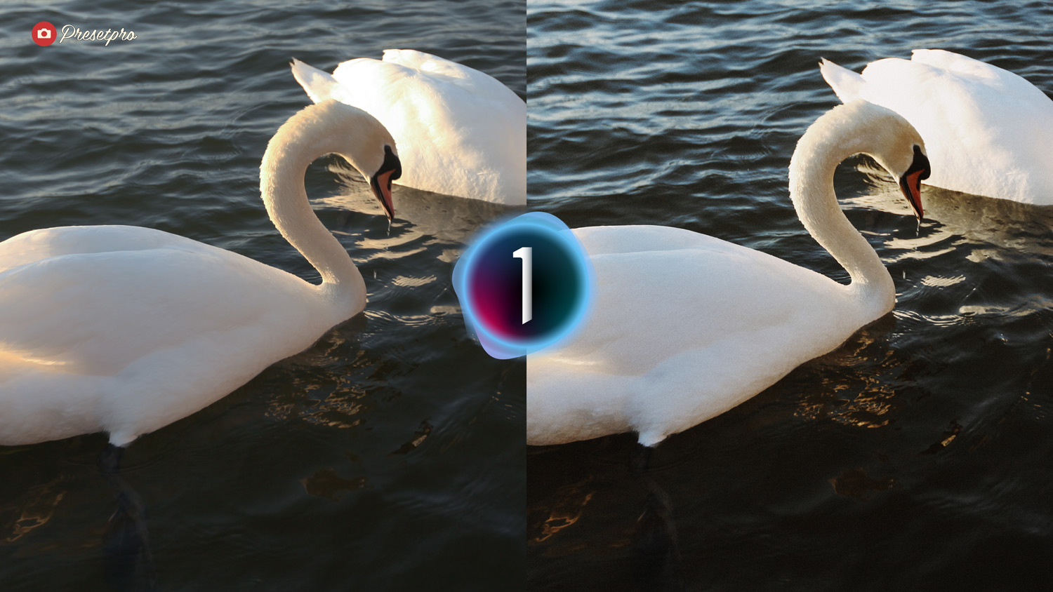 Free Capture One Style Color Stock Before and After Presetpro.co