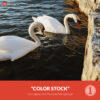 Free Capture One Style Color Stock Presetpro.com