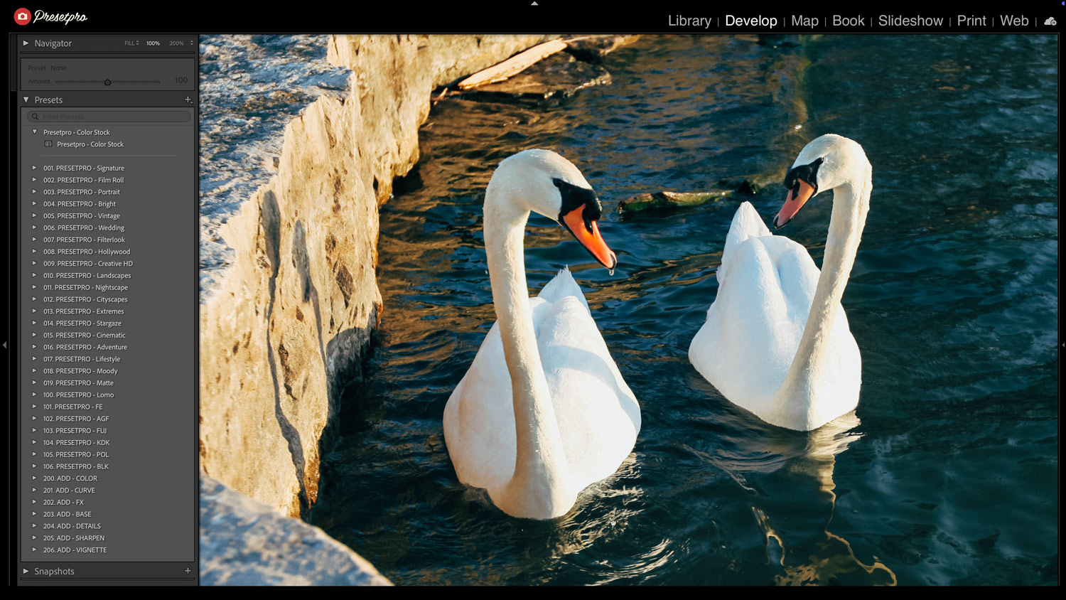 Free Lightroom Preset Color Stock Before After Presetpro.com
