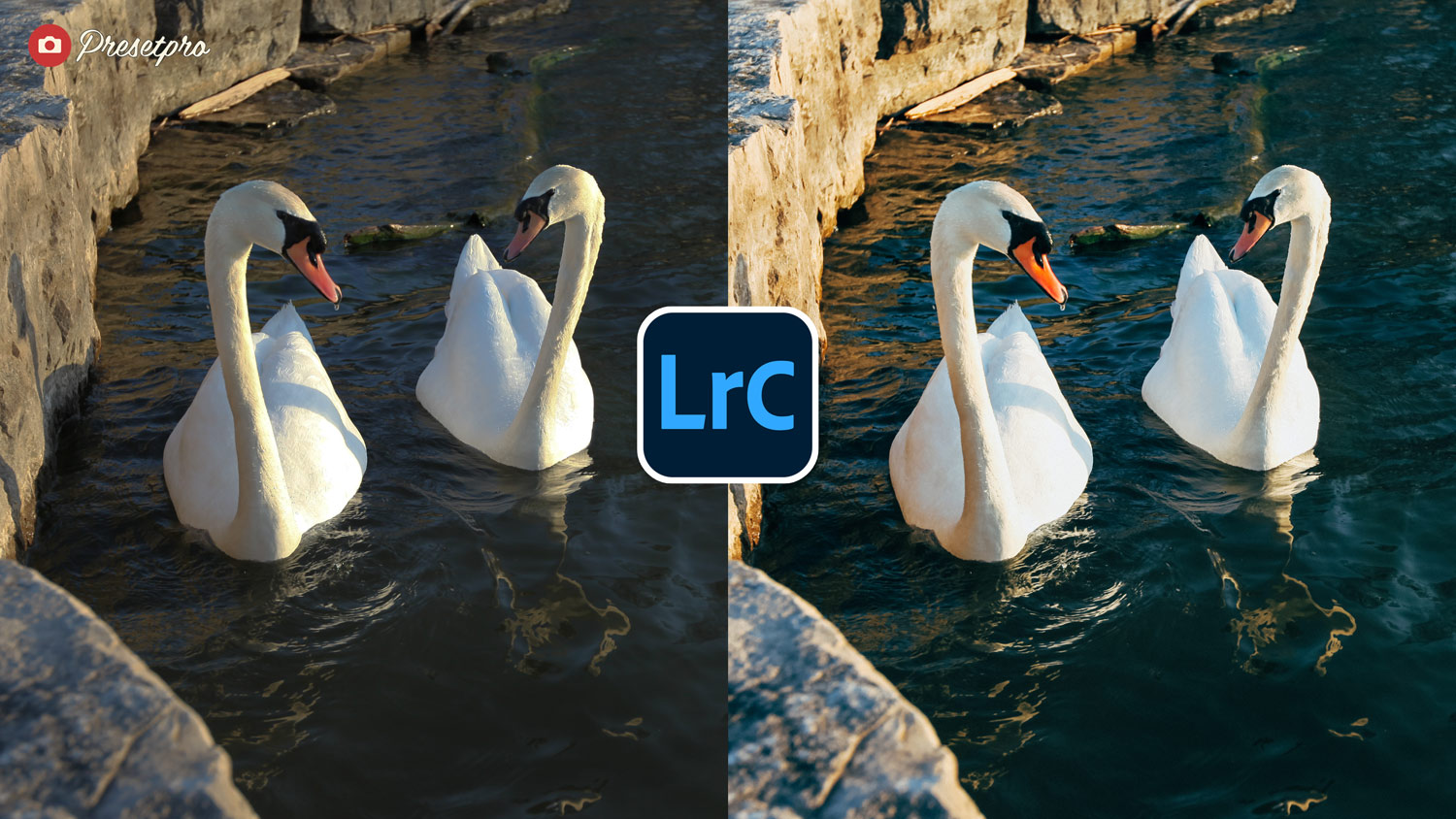 Free Lightroom Preset Color Stock Before After Presetpro.com