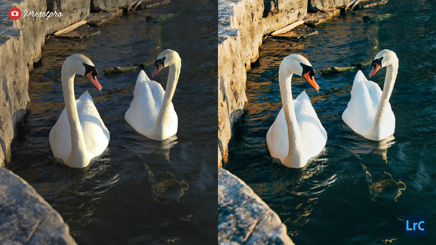 Free Lightroom Preset Color Stock Before After Presetpro.com