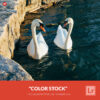 Free Lightroom Preset Color Stock by Presetpro