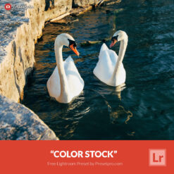 Free Lightroom Preset Color Stock by Presetpro