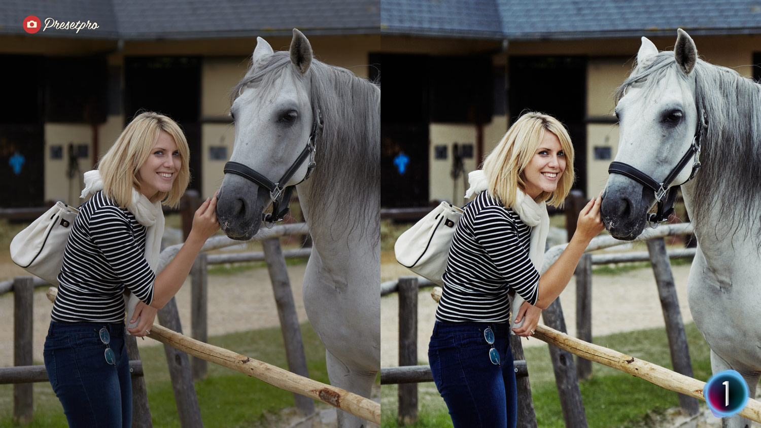 Free Capture One Style Kodak Slide Before and After Presetpro.com