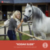 Free Capture One Style Kodak Slide Presetpro.com