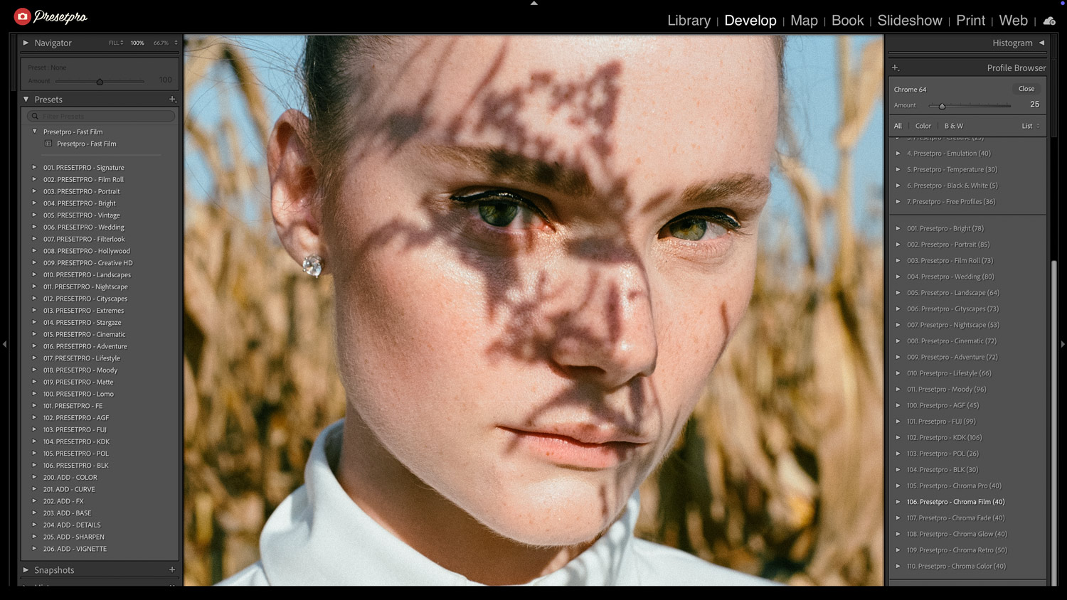 Free Lightroom Preset Fast Film Before After Presetpro.com